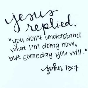 Meet your Posher, Daisy